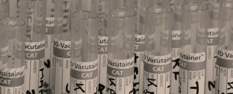 Release (Proyecto del hackaton #VenceAlVirus)