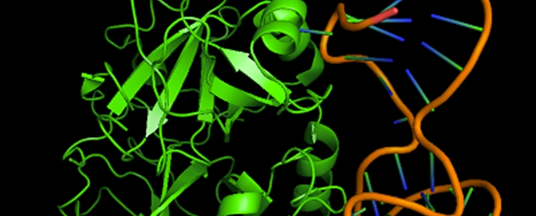 AptaBrain, aptámeros para liberación eficiente de fármacos.