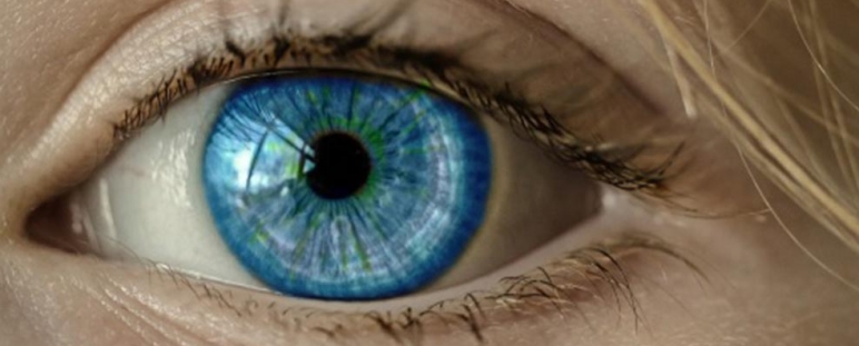 Dynamo, detección de glaucoma