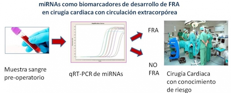 miRNA: Nuevos biomarcadores precoces y precisos  – Premio Bolsa de Viaje 2016