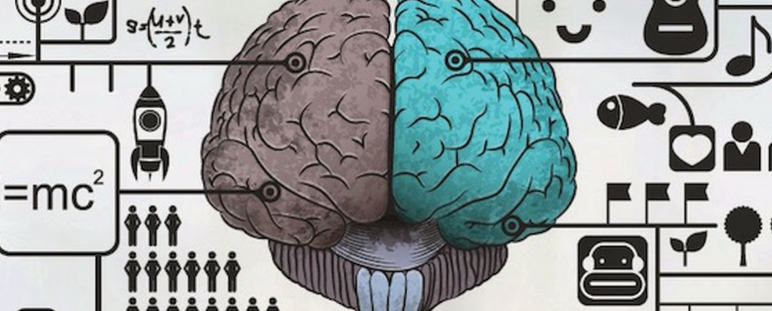 Eyegress, rehabilitación cerebral