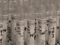 Release (Proyecto del hackaton #VenceAlVirus)